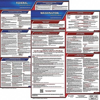 Labor Law Poster Fed/STA WA SP 20inH 3yr