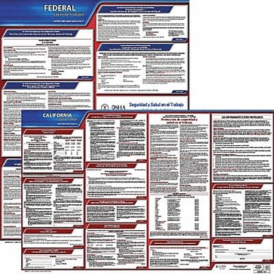 Labor Law Poster Fed/STA CA SP 20inH 1yr