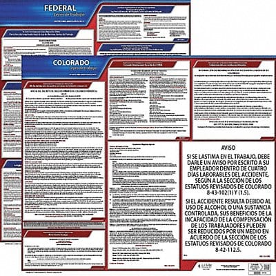 Labor Law Poster Fed/STA CO SP 20inH 1yr
