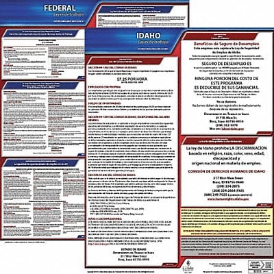 Labor Law Poster Fed/STA ID SP 20inH 1yr