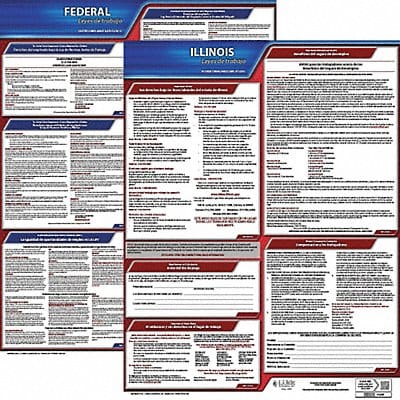 Labor Law Poster Fed/STA IL SP 20inH 1yr