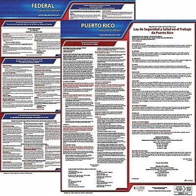 Labor Law Poster Fed/STA PR SP 20inH 1yr
