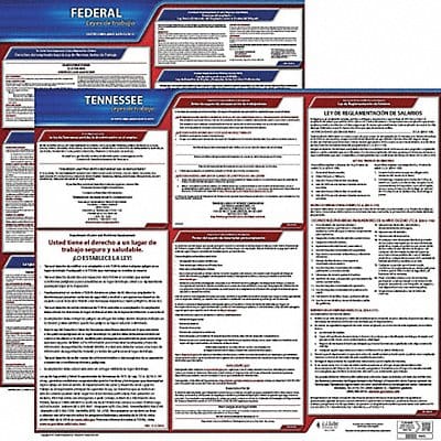 Labor Law Poster Fed/STA TN SP 20inH 1yr