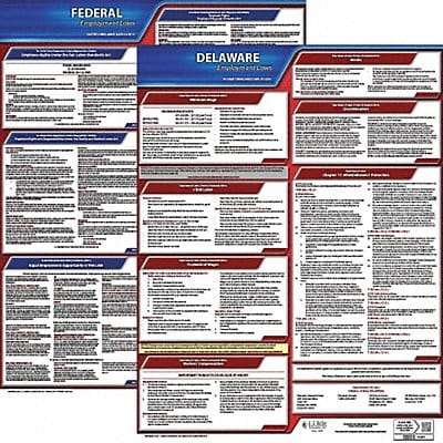LaborLaw Poster Fed/STA DE ENG 20inH 3yr