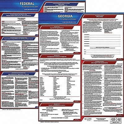 LaborLaw Poster Fed/STA GA ENG 20inH 3yr