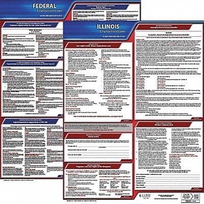LaborLaw Poster Fed/STA IL ENG 20inH 3yr