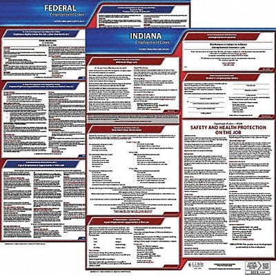 LaborLaw Poster Fed/STA IN ENG 20inH 3yr