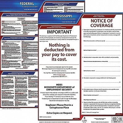 LaborLaw Poster Fed/STA MS ENG 20inH 3yr