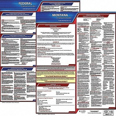 LaborLaw Poster Fed/STA MT ENG 20inH 3yr