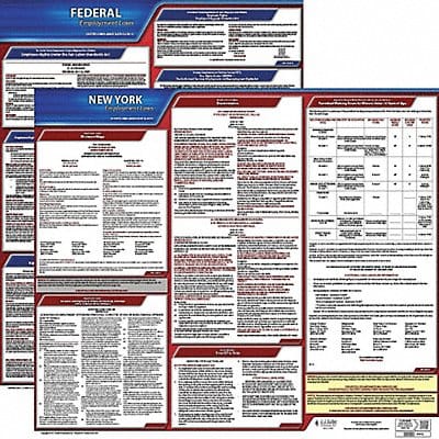 LaborLaw Poster Fed/STA NY ENG 20inH 3yr
