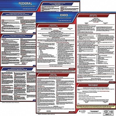 LaborLaw Poster Fed/STA OH ENG 20inH 3yr