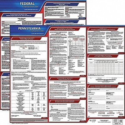 LaborLaw Poster Fed/STA PA ENG 20inH 3yr