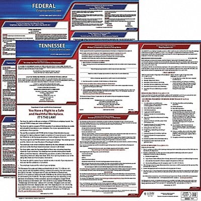 LaborLaw Poster Fed/STA TN ENG 20inH 3yr