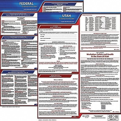LaborLaw Poster Fed/STA UT ENG 20inH 3yr
