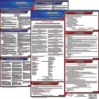 LaborLaw Poster Fed/STA VA ENG 20inH 3yr