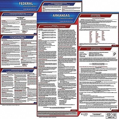 Labor Law Poster Fed/STA AR SP 20inH 3yr