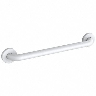 Grab Bar SS Painted 18 in L
