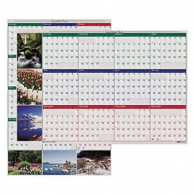 Wall Calendar Reversible/Erase 32x48 In