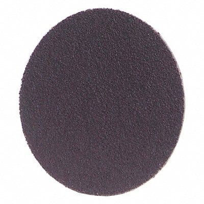 PSA Sanding Disc 1 in Dia 100 G