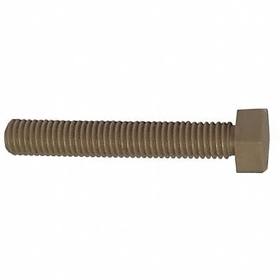 HxHdCpScrw PEEK 20mm M10-1.50 10PK