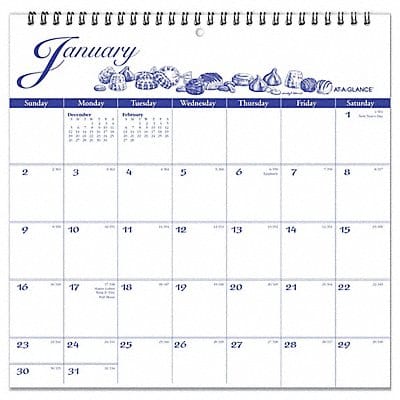 Wall Calendar Illustrators Edit Yearly