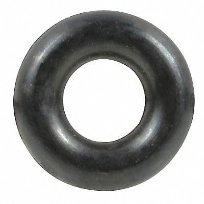 Coil Spring Westward