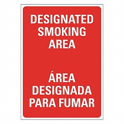 No Smoking Sign 14 inx10 in Plastic
