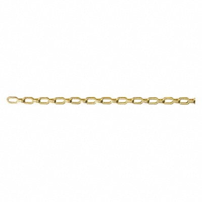 Chain Plumber Flat 100 ft 23 lb.