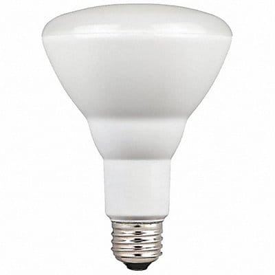 LED 9 W BR30 Medium Screw (E26)