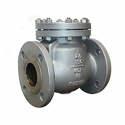 Swing Check Valve 19.5 in Overall L