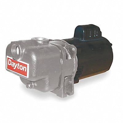 Self Priming Pump 3/4 HP 316 SS