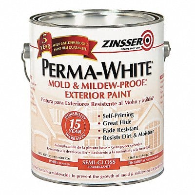 Paint Acrylic White