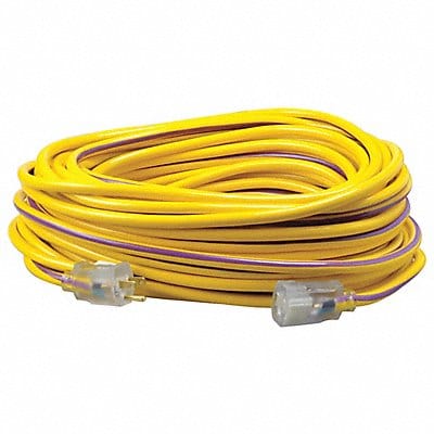 Extension Cord 12 AWG 125VAC 100 ft L