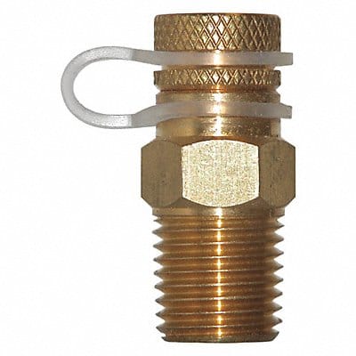 Pressure Test Plug Brass 1/4 in NPT