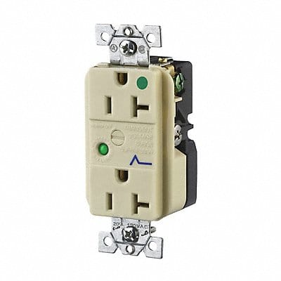 Receptacle 20A Audible Alarm Flush Mount