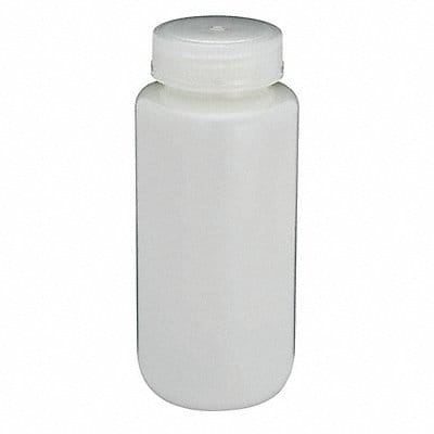 Bottle 170 mm H Natural 73 mm Dia PK12