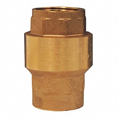 Spring Loaded Check Valve 1/2