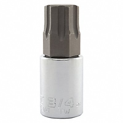 Socket Bit Steel 1/2 in TpSz 3/4 in