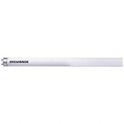 Plug-In CFL Bulb 15W 700 lm 6500K