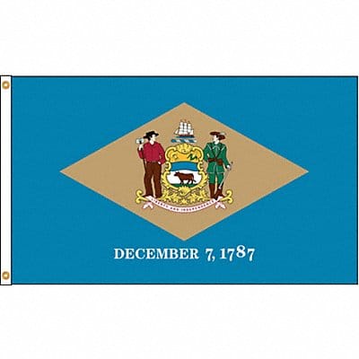 D3771 Delaware Flag 4x6 Ft Nylon