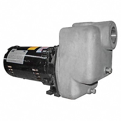 Self Priming Pump 1 HP 316 SS