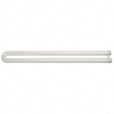 U-Bend FLUOR Bulb T8 G13 4100K 31W