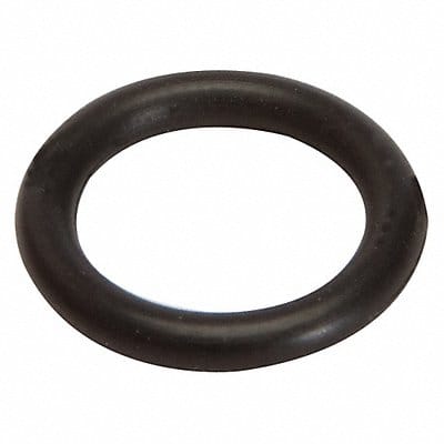 Pump Piston O-ring