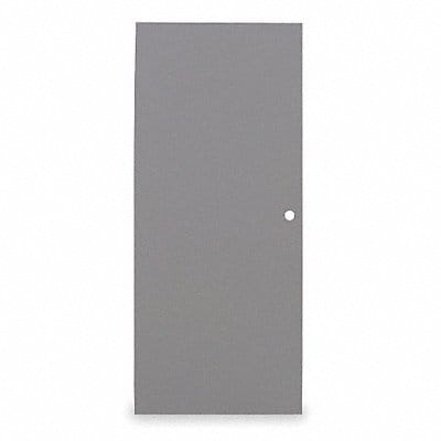 D3539 Flush Steel Door Type 2 84 x 48 In
