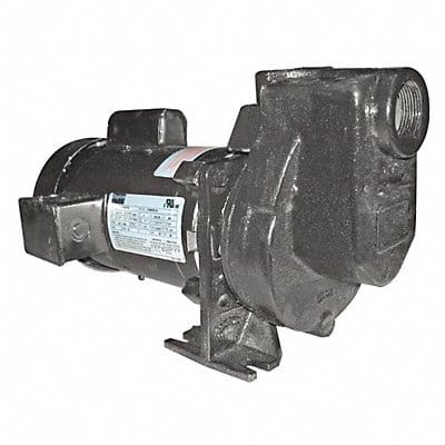 Self Priming Pump 1/3 HP Cast Iron