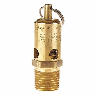Pressure Relief Valve SS Ball Pressure Relief Valve SS Ball
