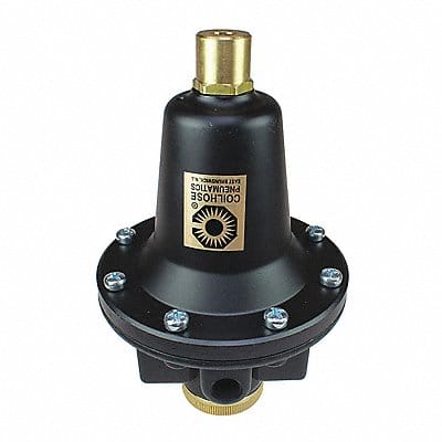 Regulator Tamperproof 0-200PSI 1/4