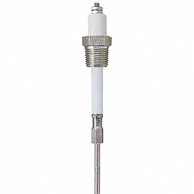 Liquid Level Probe 12 In 3/4 NPT