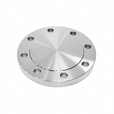 Blind Flange 316L SS 8 NPS