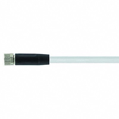 Cord Set
